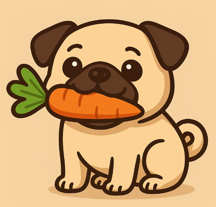 Consejos para una rutina de ejercicio matutina revitalizante